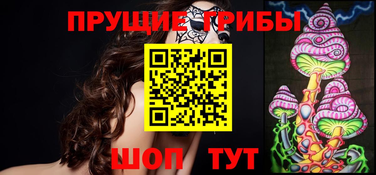 Павлово  Галлюциногенные грибы GOLDEN TEACHER  Вход с VPN 
